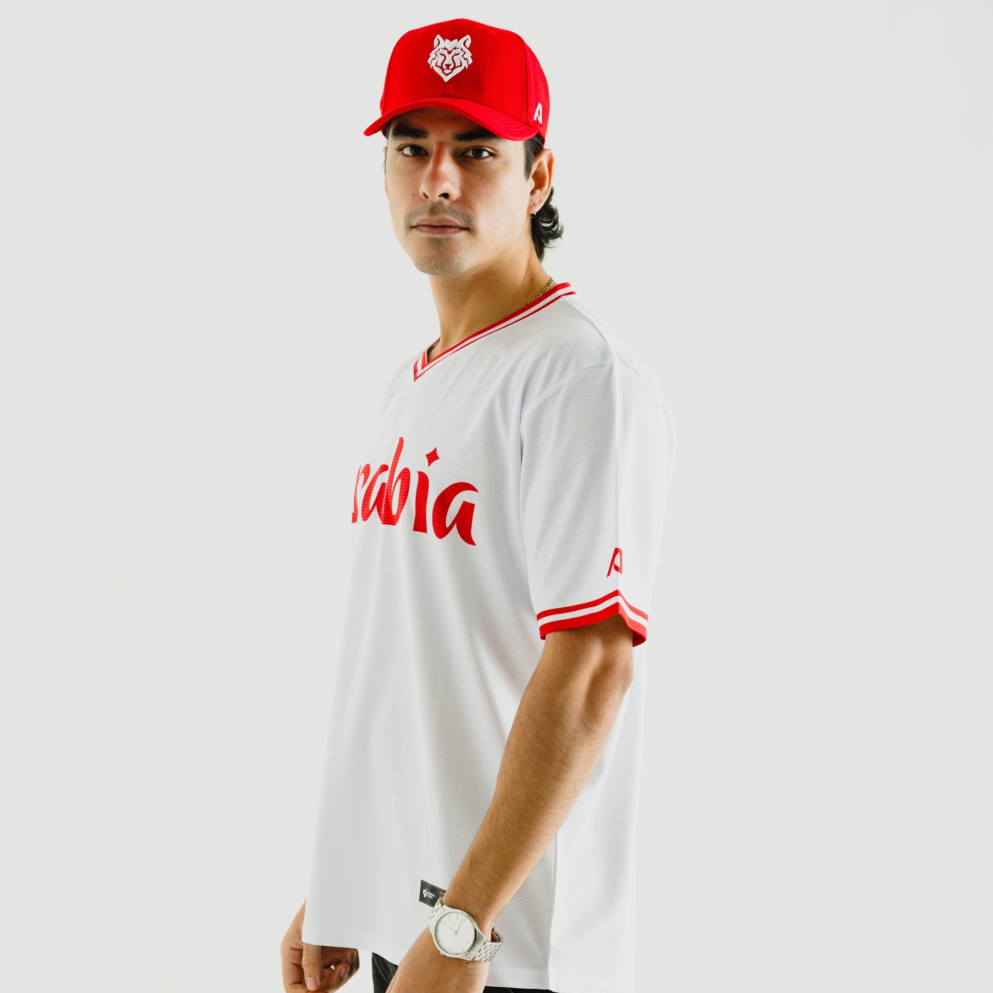 Arabia Wolves Men's V-Neck Jersey