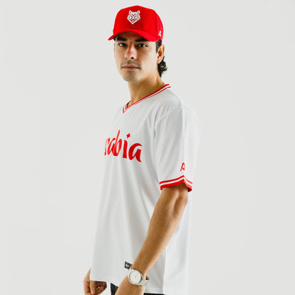 Arabia Wolves Men's V-Neck Jersey